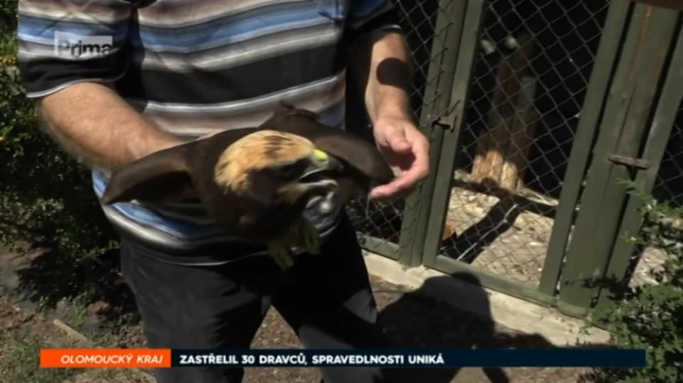 27. 4. 2018 ZPRÁVY: ZASTŘELIL 30 DRAVCŮ, SPRAVEDLNOSTI UNIKÁ